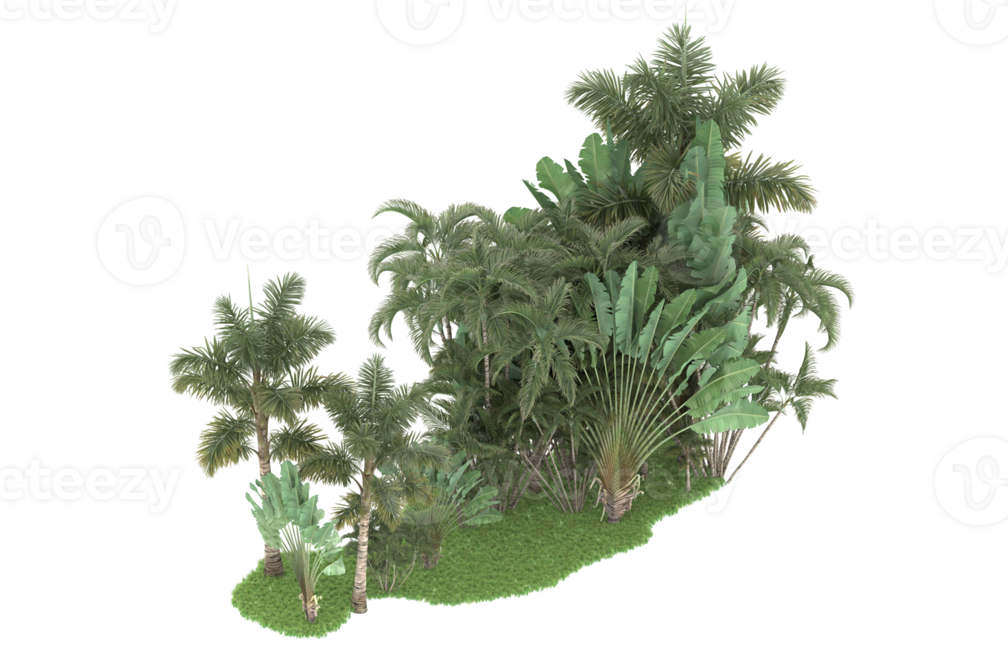 Realistic forest isolated on transparent background. 3d rendering - illustration png
