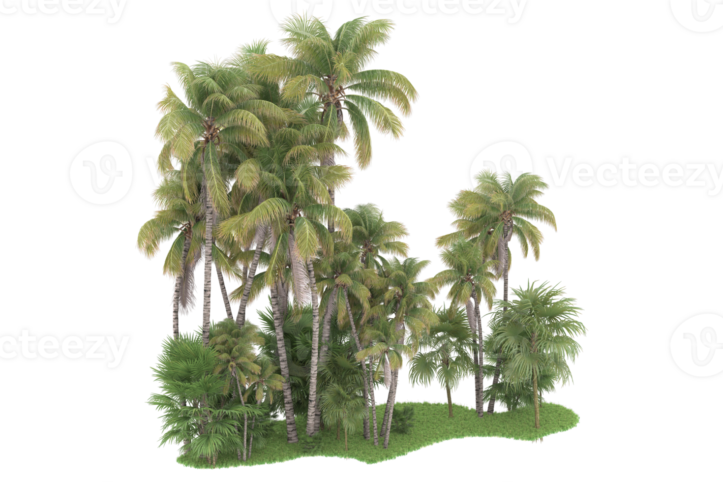 Realistic forest isolated on transparent background. 3d rendering - illustration png