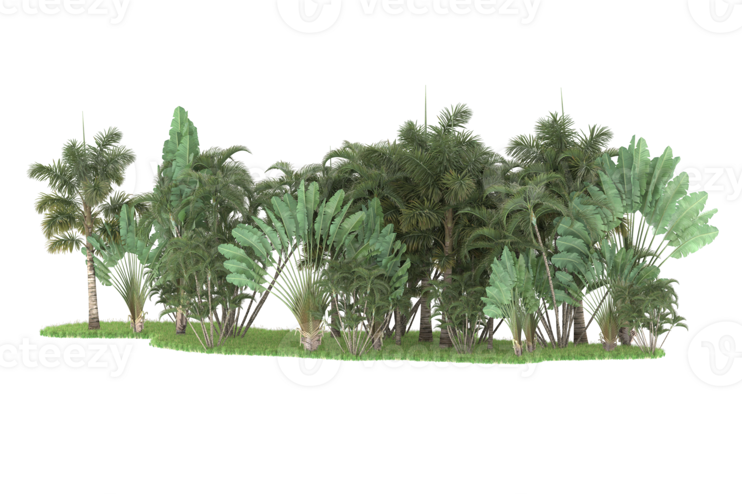 Realistic forest isolated on transparent background. 3d rendering - illustration png