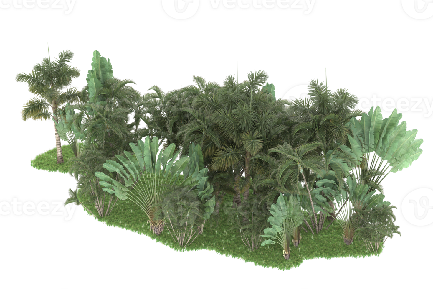 Realistic forest isolated on transparent background. 3d rendering - illustration png