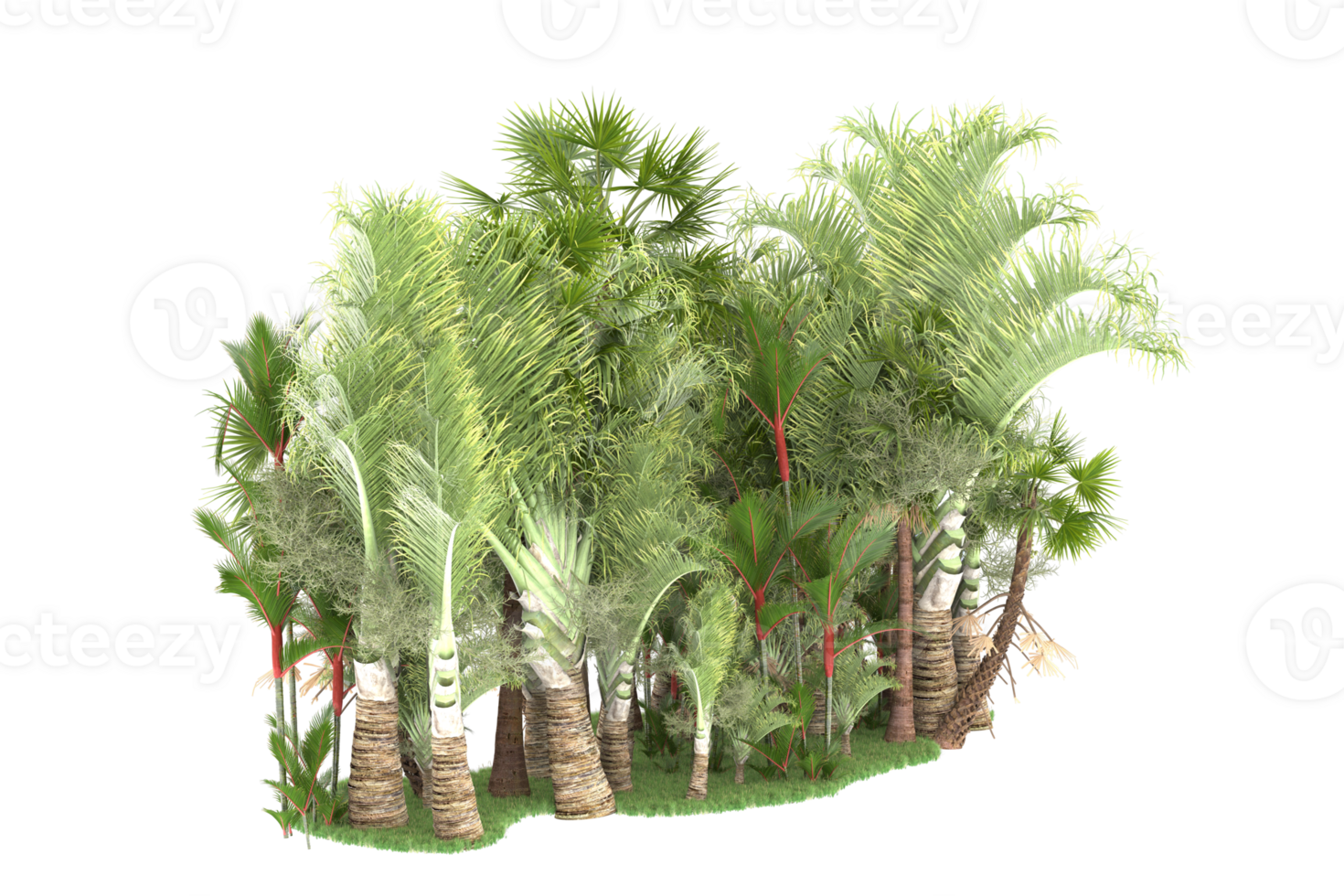 Realistic forest isolated on transparent background. 3d rendering - illustration png