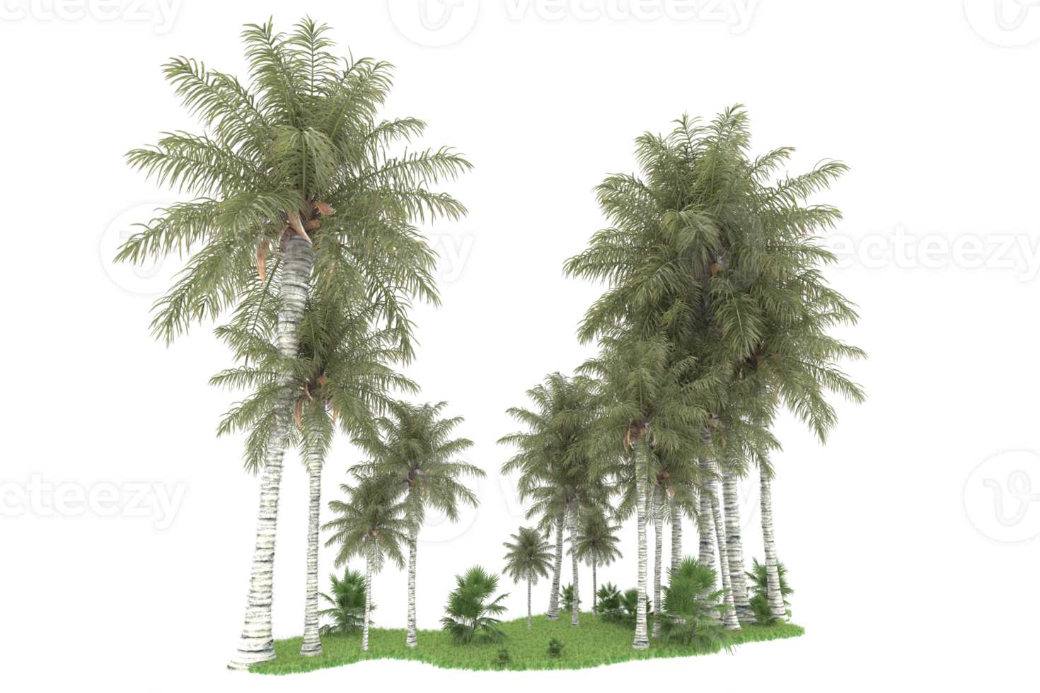 Realistic forest isolated on transparent background. 3d rendering - illustration png