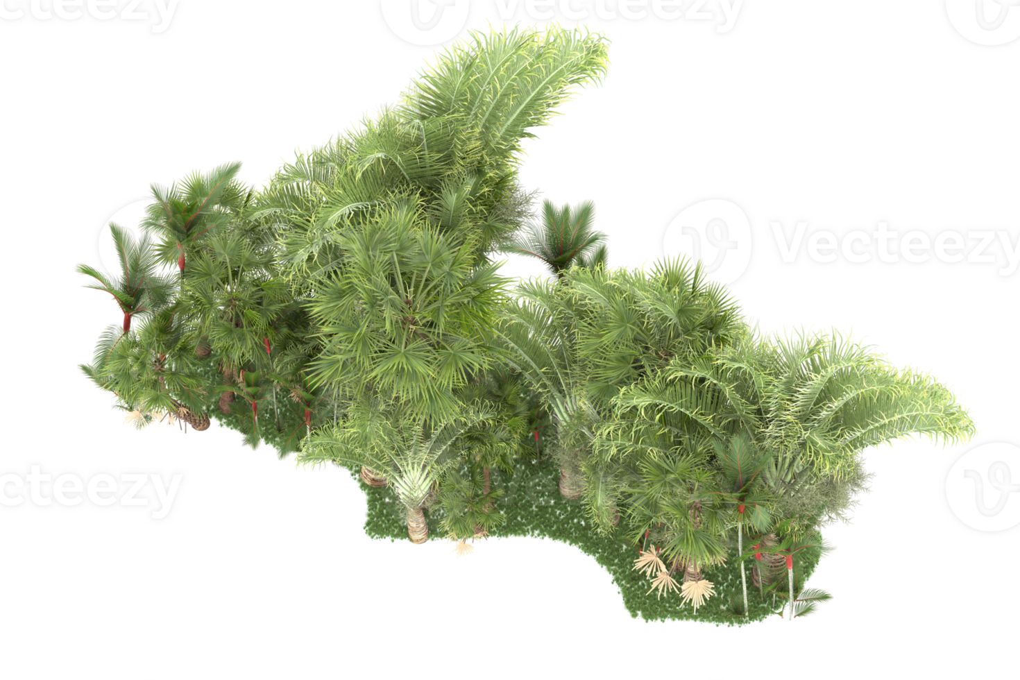 Realistic forest isolated on transparent background. 3d rendering - illustration png