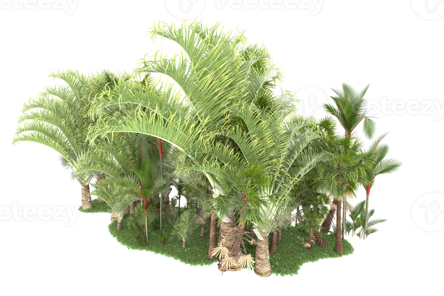 Realistic forest isolated on transparent background. 3d rendering - illustration png
