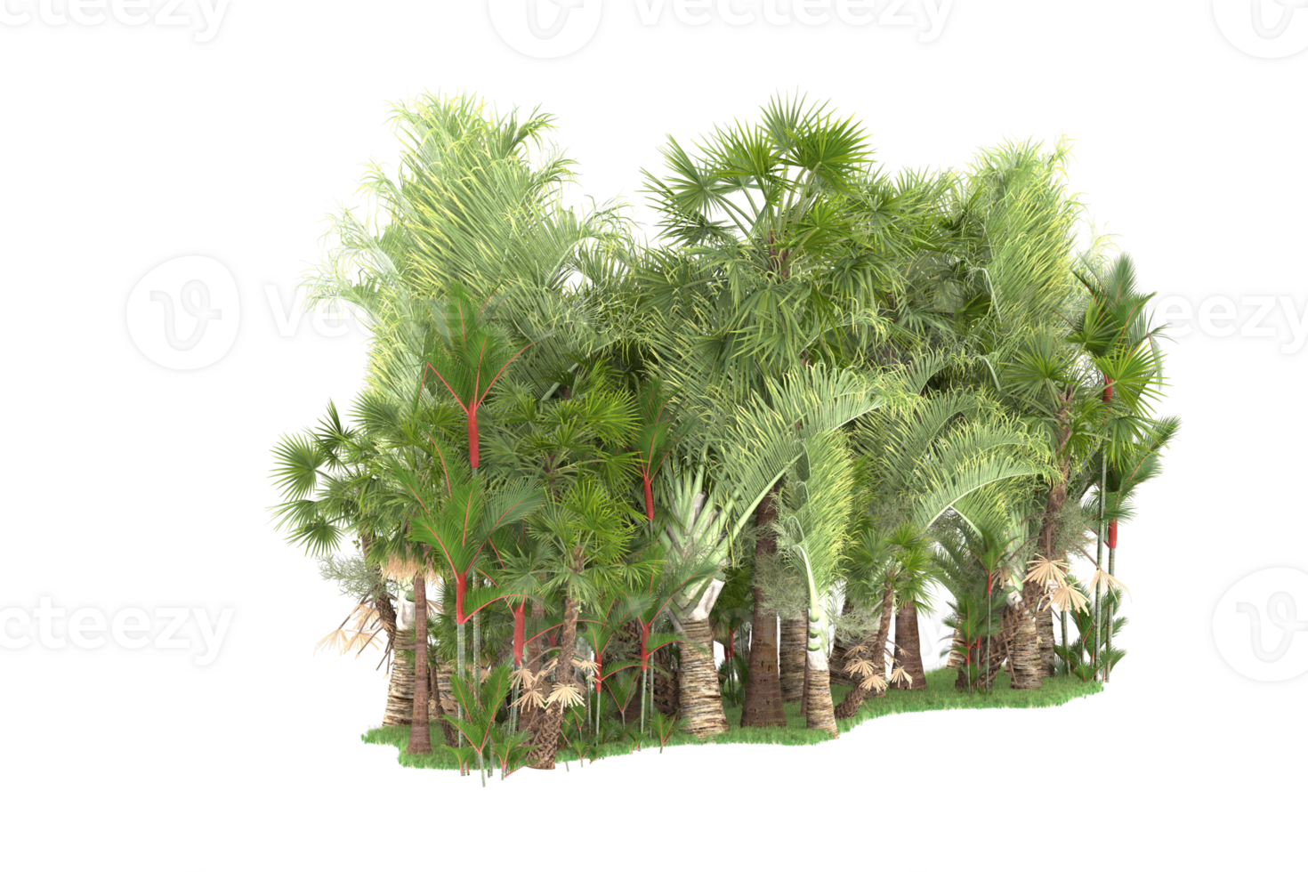Realistic forest isolated on transparent background. 3d rendering - illustration png