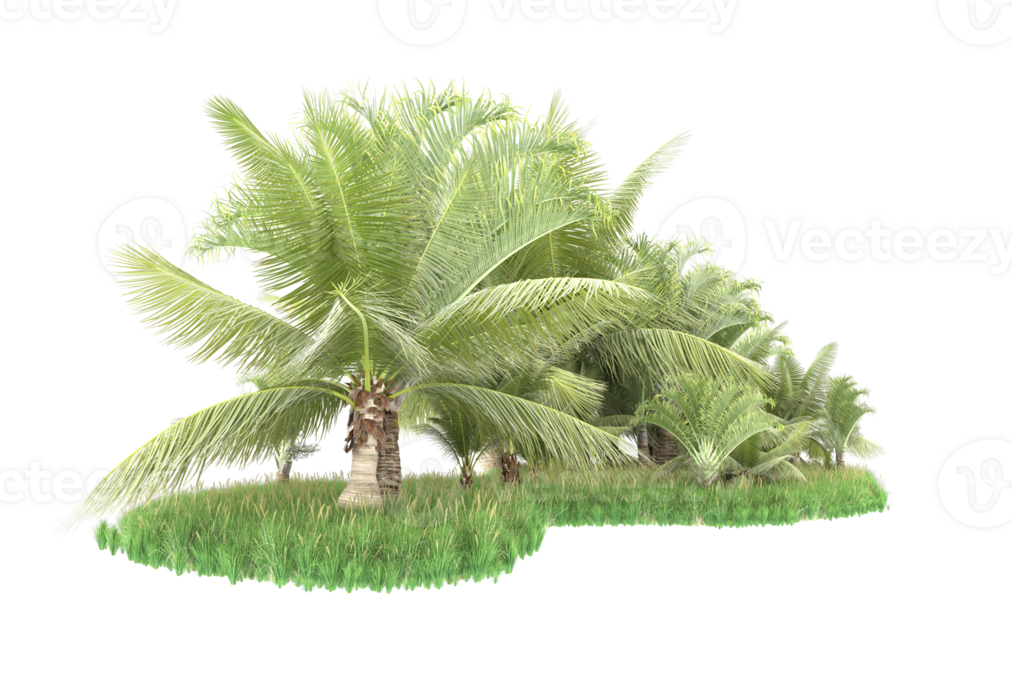 Realistic forest isolated on transparent background. 3d rendering - illustration png
