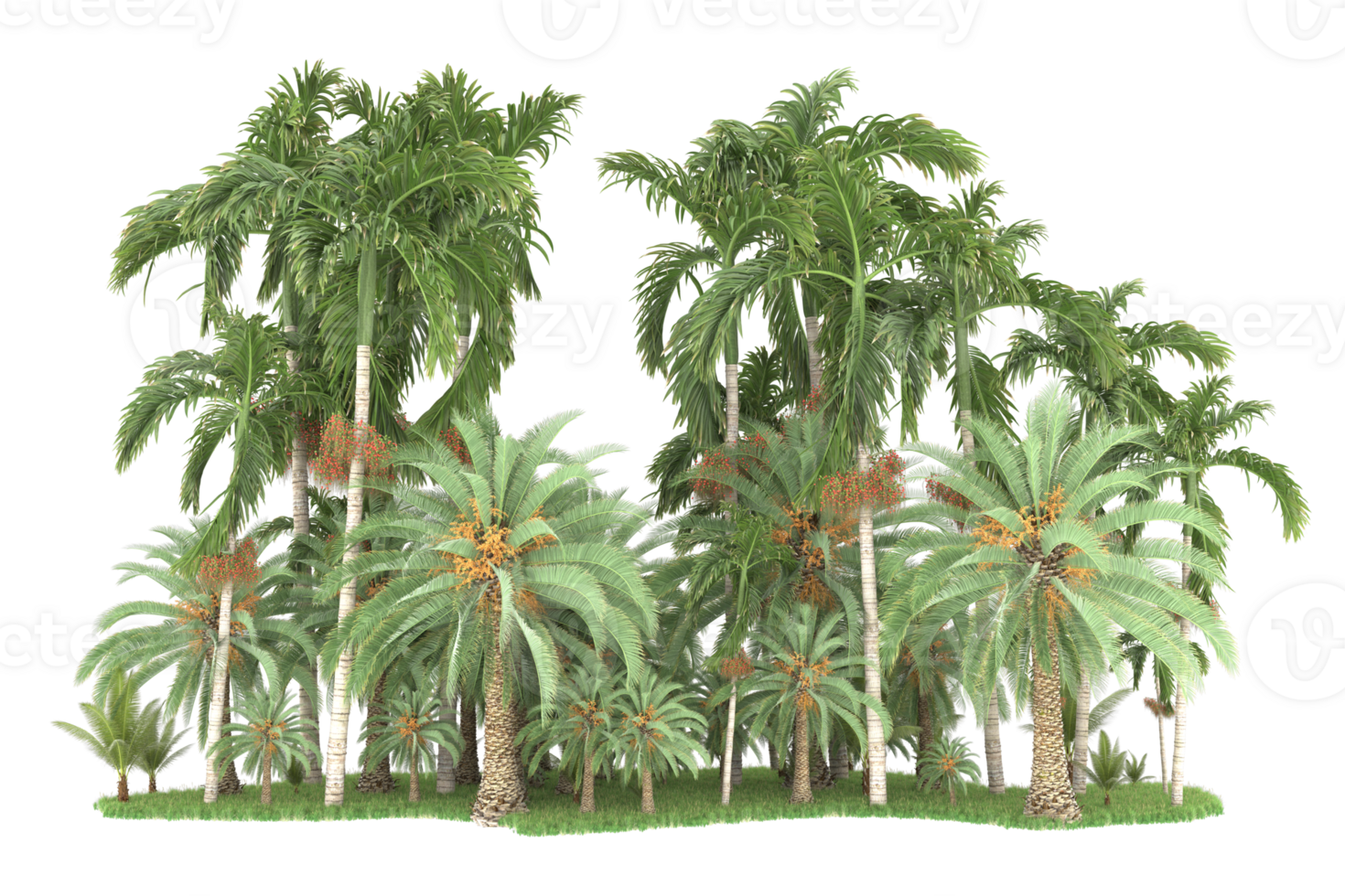 Realistic forest isolated on transparent background. 3d rendering - illustration png