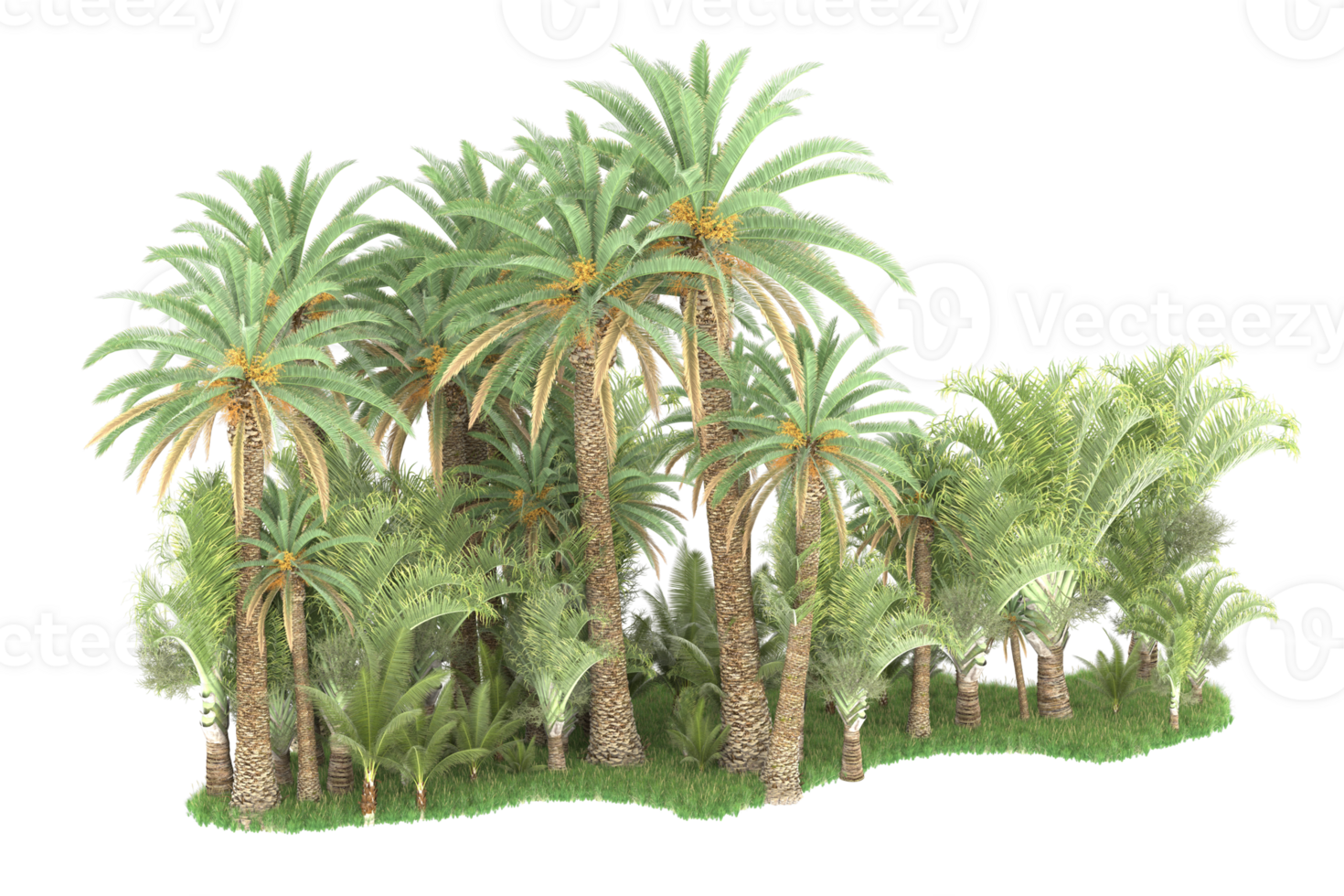 Realistic forest isolated on transparent background. 3d rendering - illustration png