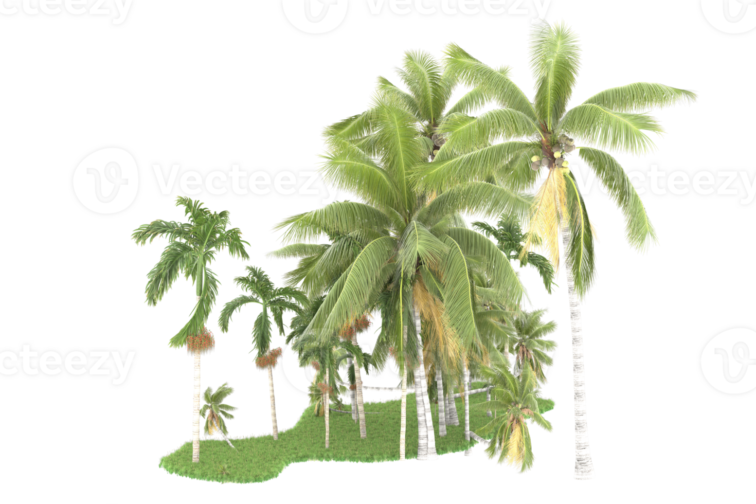 Realistic forest isolated on transparent background. 3d rendering - illustration png