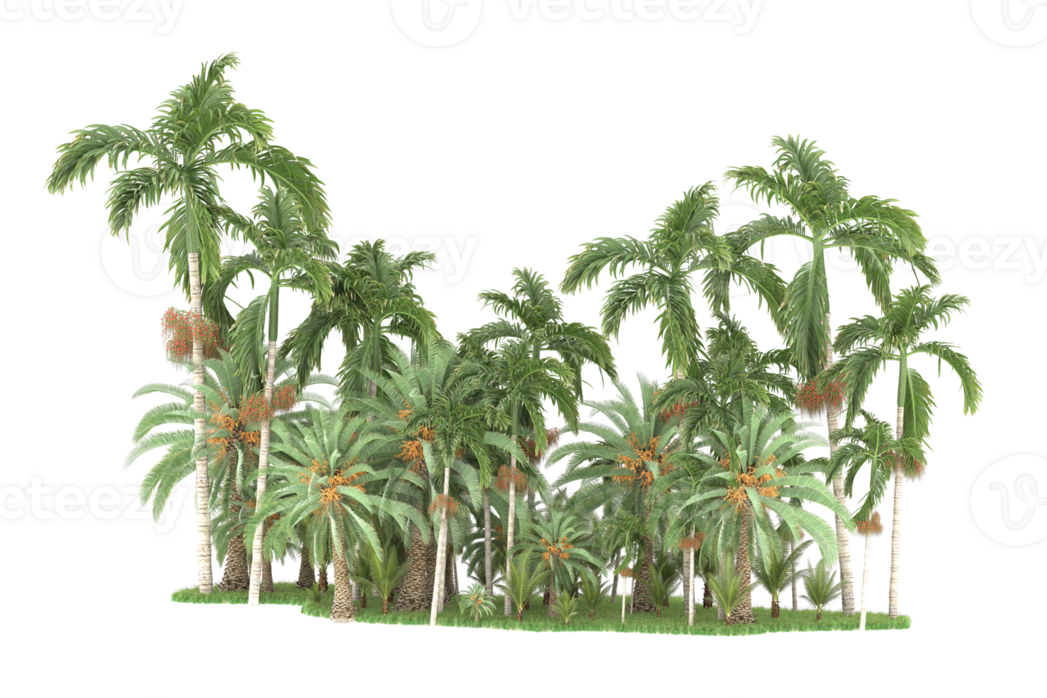 Realistic forest isolated on transparent background. 3d rendering - illustration png