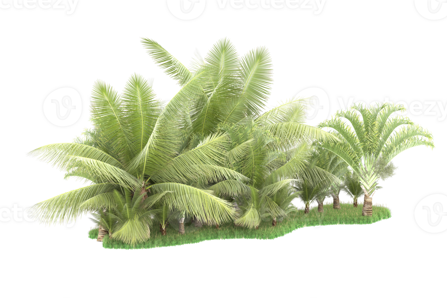 Realistic forest isolated on transparent background. 3d rendering - illustration png