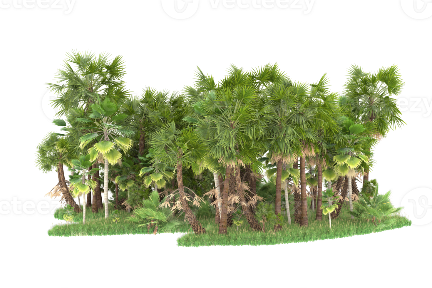 Realistic forest isolated on transparent background. 3d rendering - illustration png