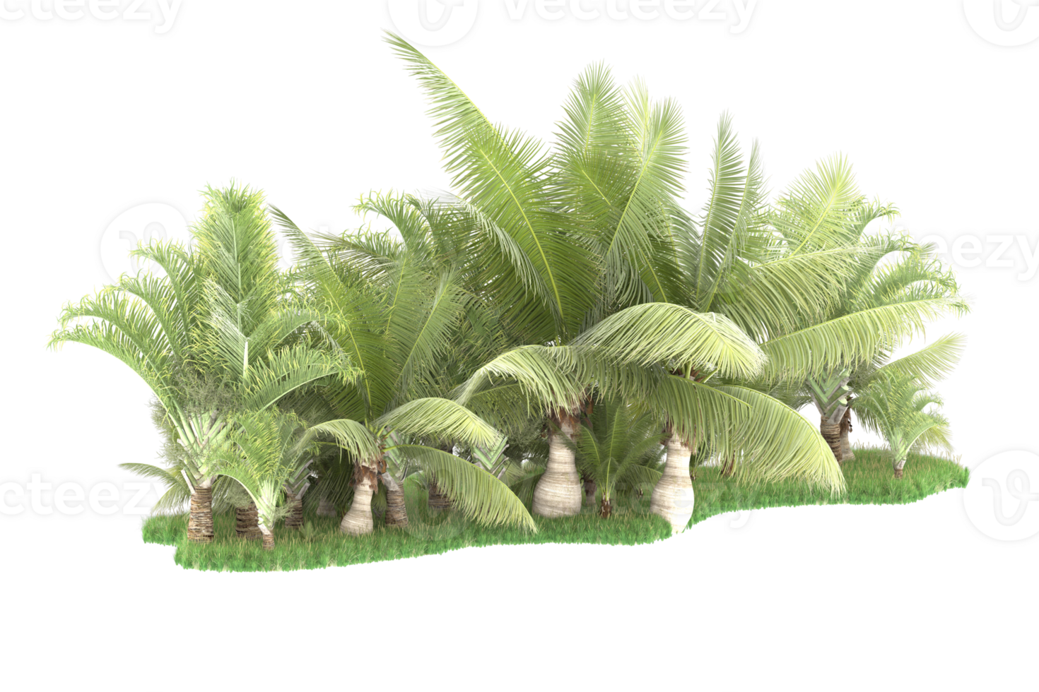Realistic forest isolated on transparent background. 3d rendering - illustration png