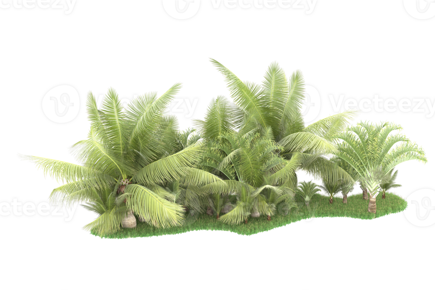 Realistic forest isolated on transparent background. 3d rendering - illustration png