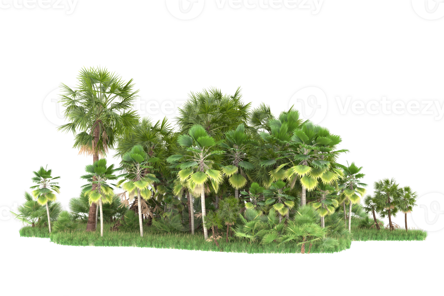 Realistic forest isolated on transparent background. 3d rendering - illustration png
