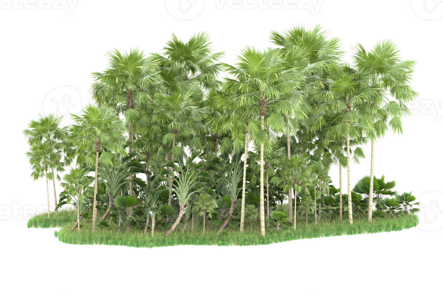 Realistic forest isolated on transparent background. 3d rendering - illustration png