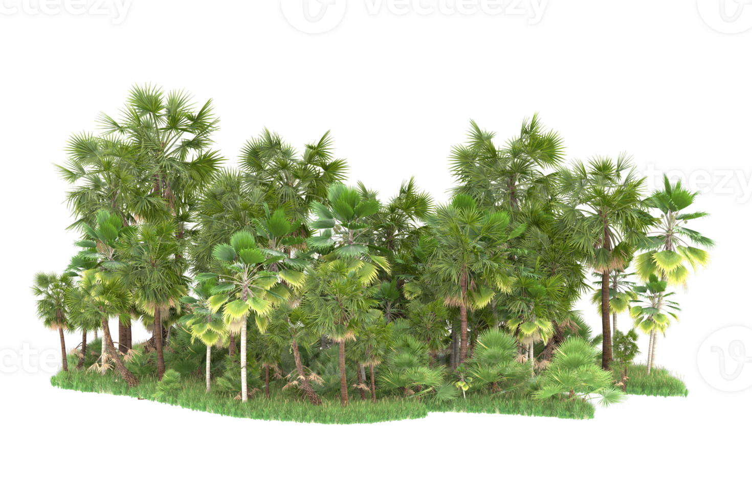 Realistic forest isolated on transparent background. 3d rendering - illustration png