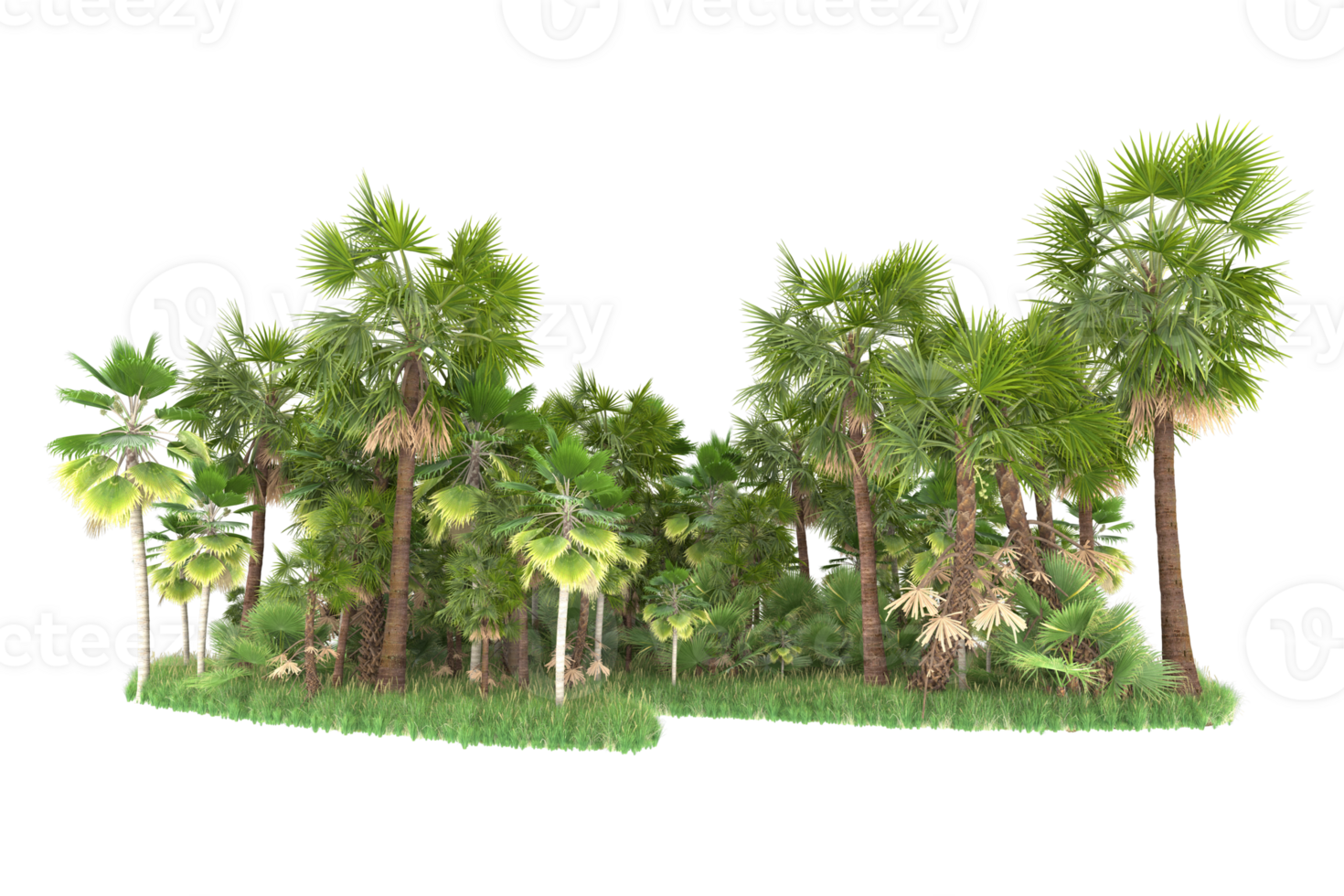 Realistic forest isolated on transparent background. 3d rendering - illustration png