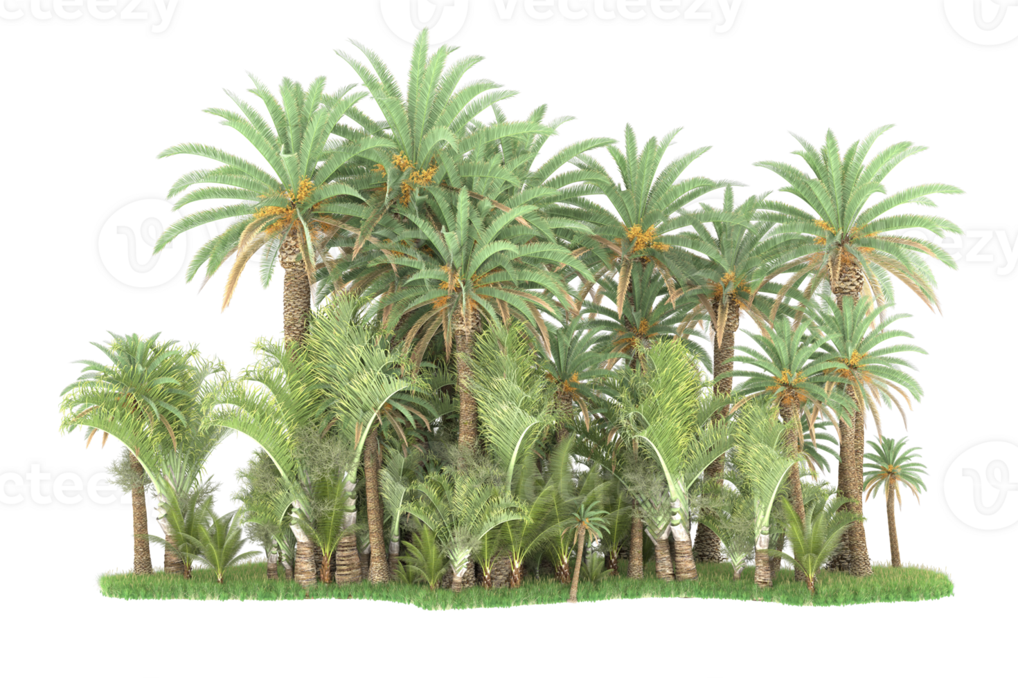 Realistic forest isolated on transparent background. 3d rendering - illustration png
