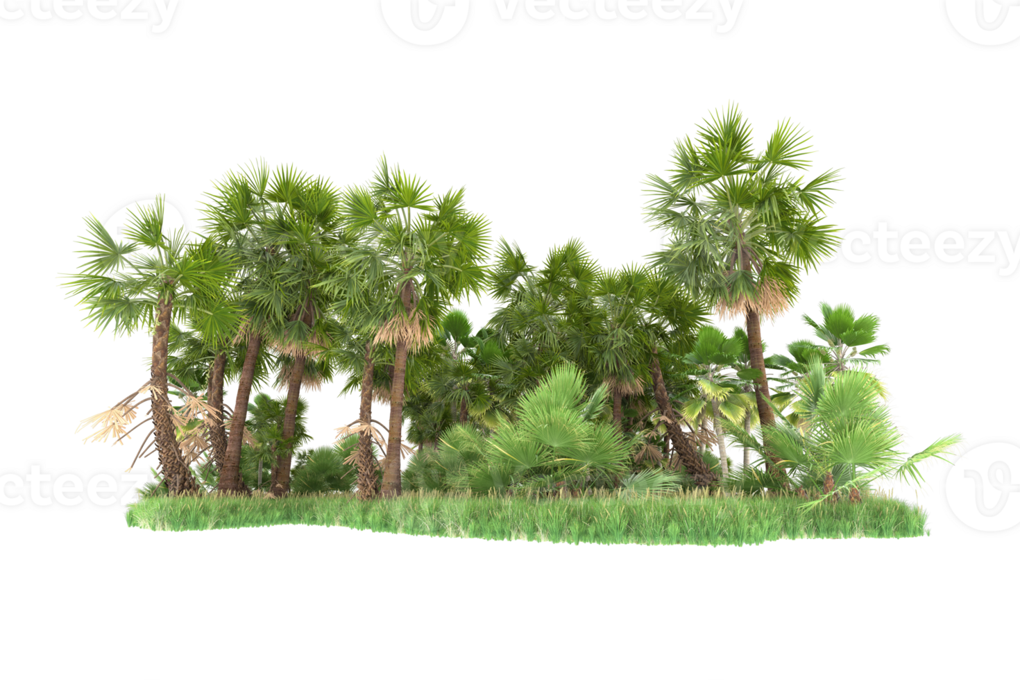Realistic forest isolated on transparent background. 3d rendering - illustration png