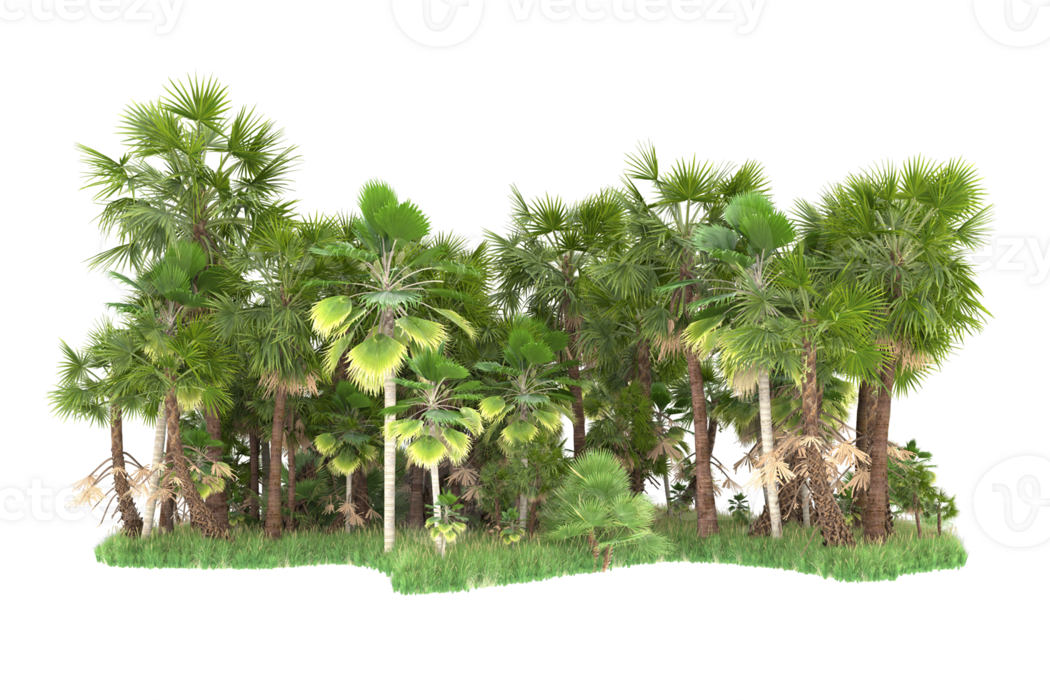 Realistic forest isolated on transparent background. 3d rendering - illustration png