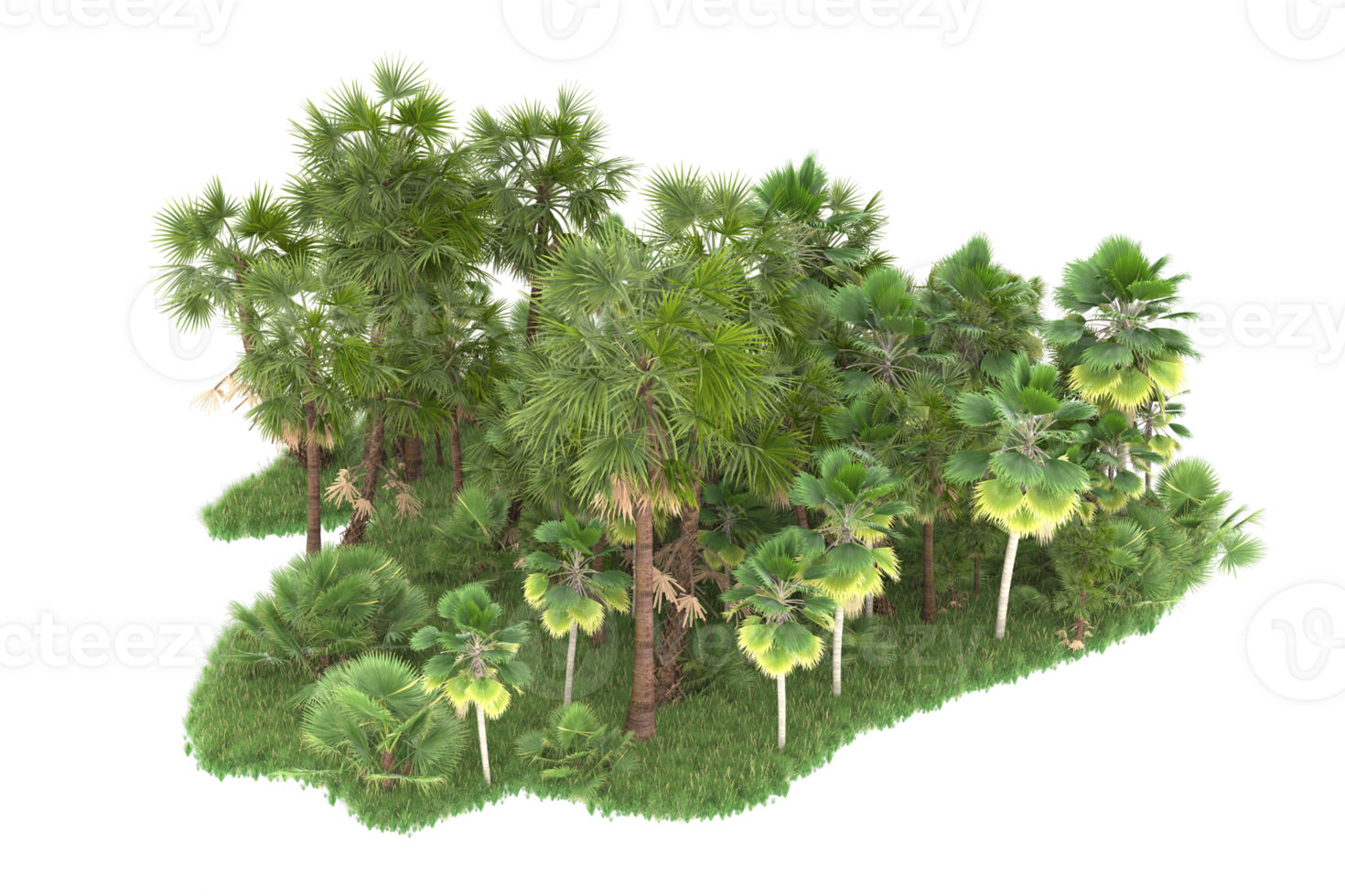 Realistic forest isolated on transparent background. 3d rendering - illustration png