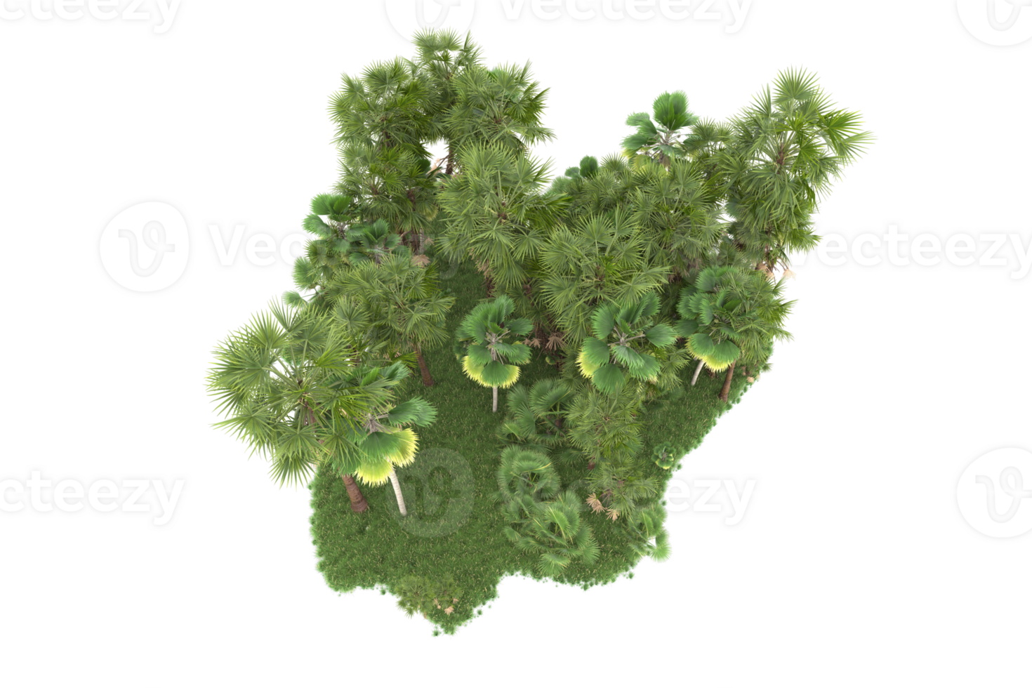 Realistic forest isolated on transparent background. 3d rendering - illustration png