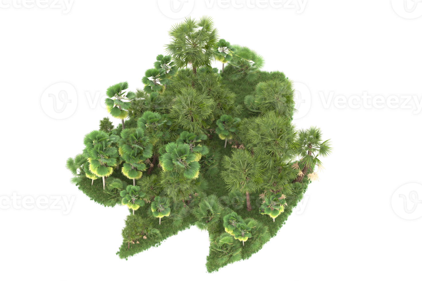 Realistic forest isolated on transparent background. 3d rendering - illustration png