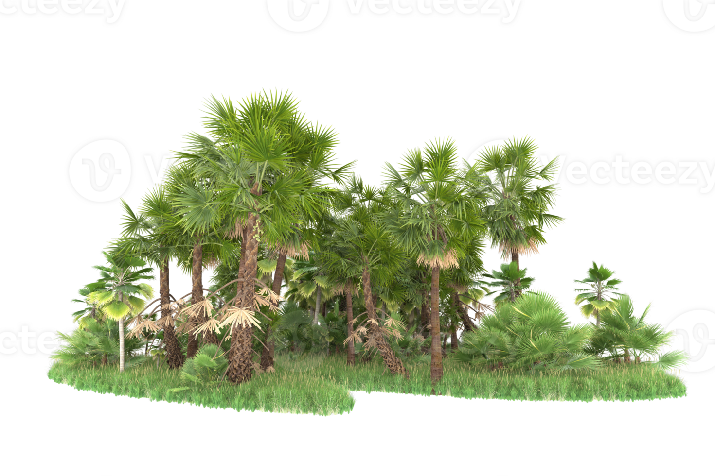 Realistic forest isolated on transparent background. 3d rendering - illustration png