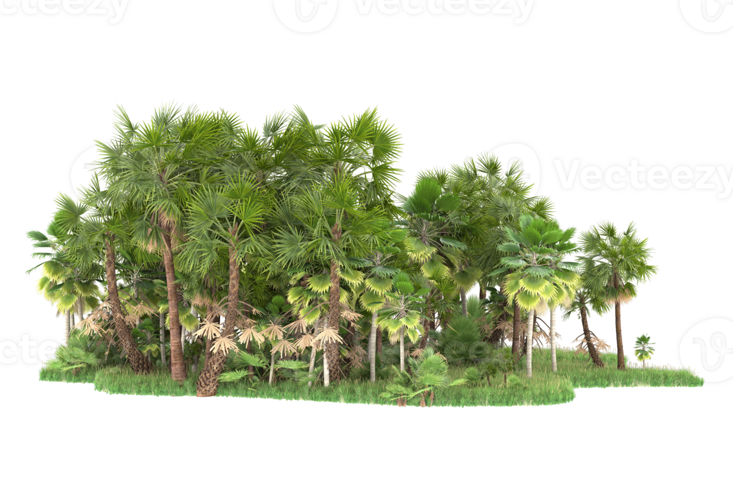 Realistic forest isolated on transparent background. 3d rendering - illustration png