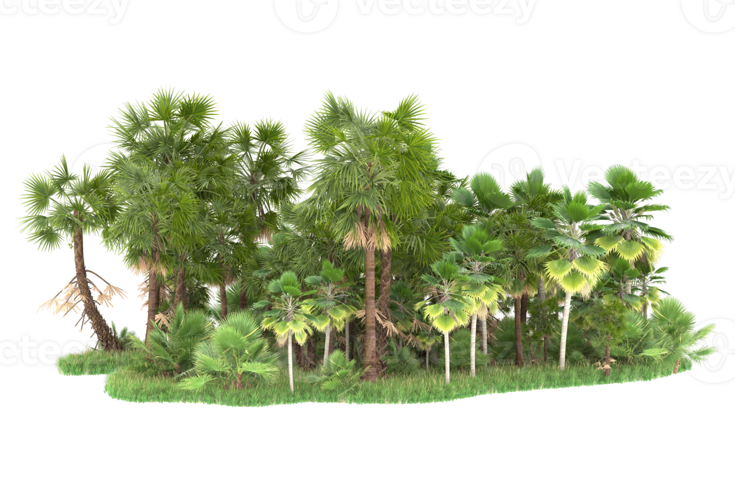 Realistic forest isolated on transparent background. 3d rendering - illustration png