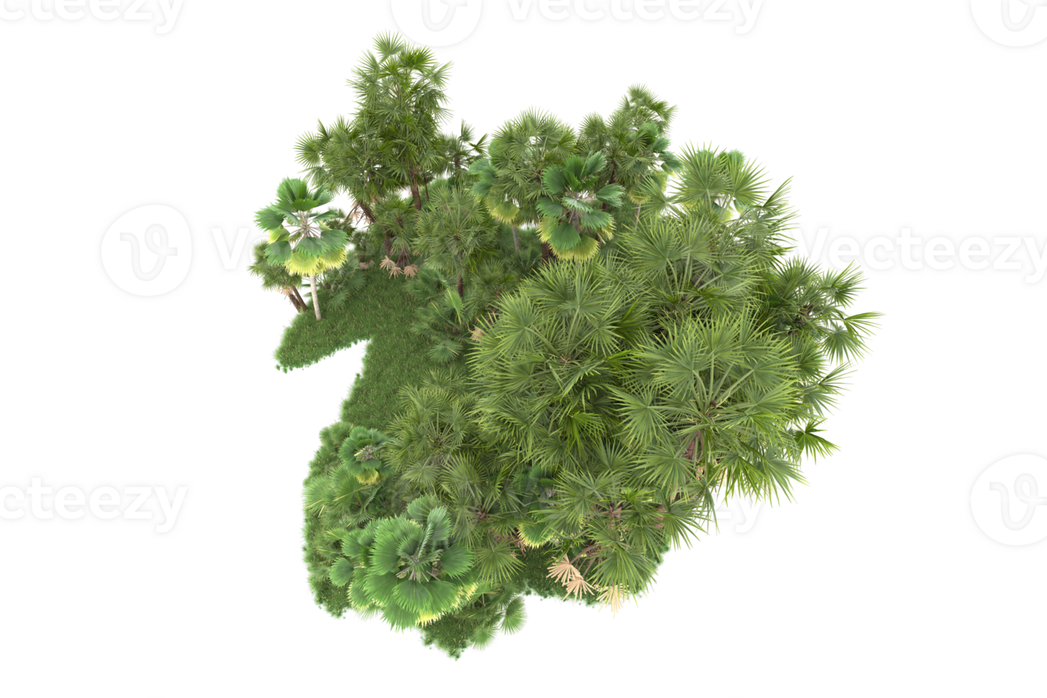 Realistic forest isolated on transparent background. 3d rendering - illustration png