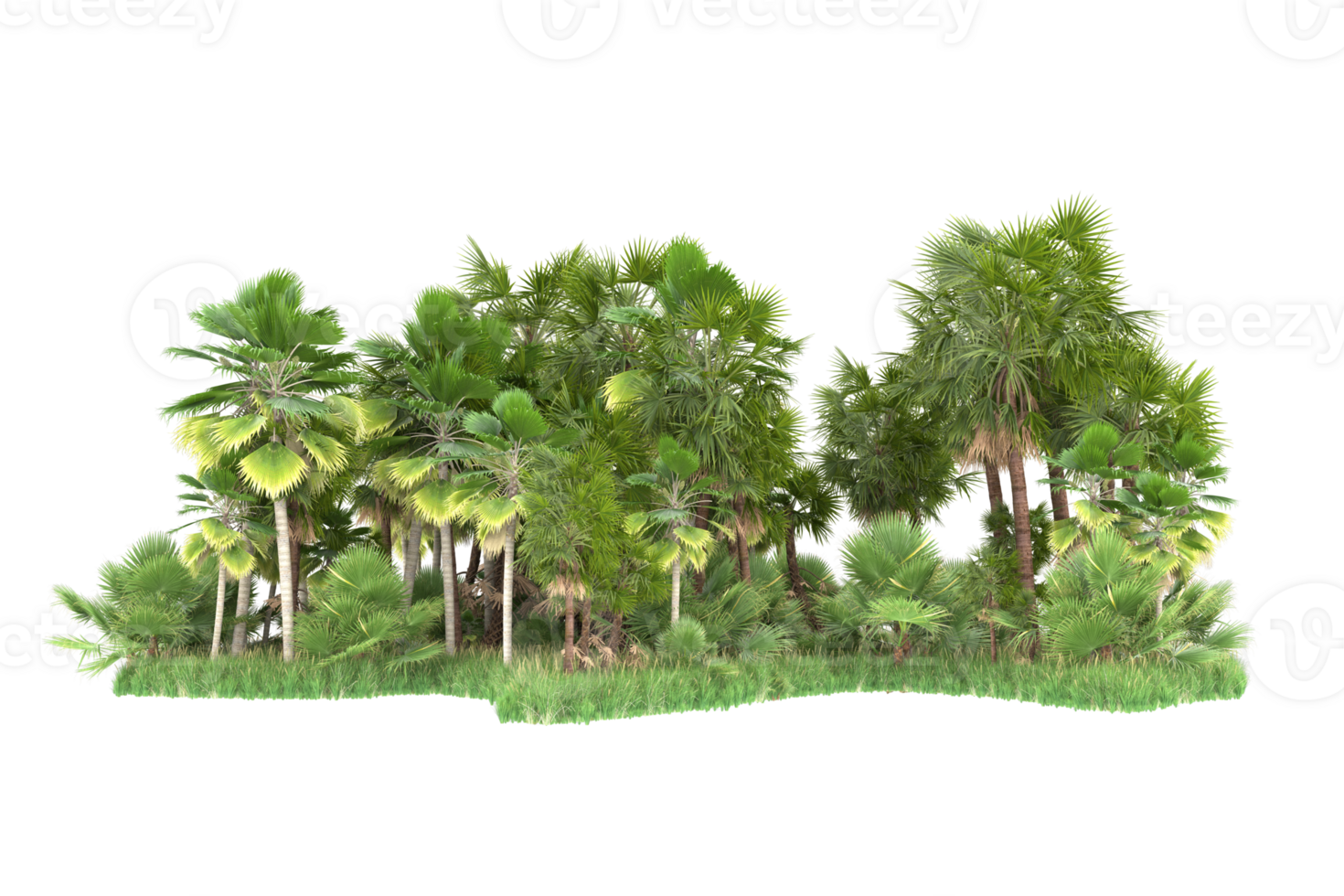 Realistic forest isolated on transparent background. 3d rendering - illustration png