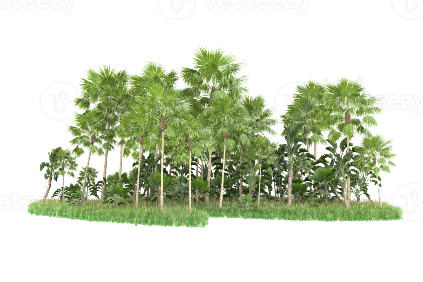 Realistic forest isolated on transparent background. 3d rendering - illustration png