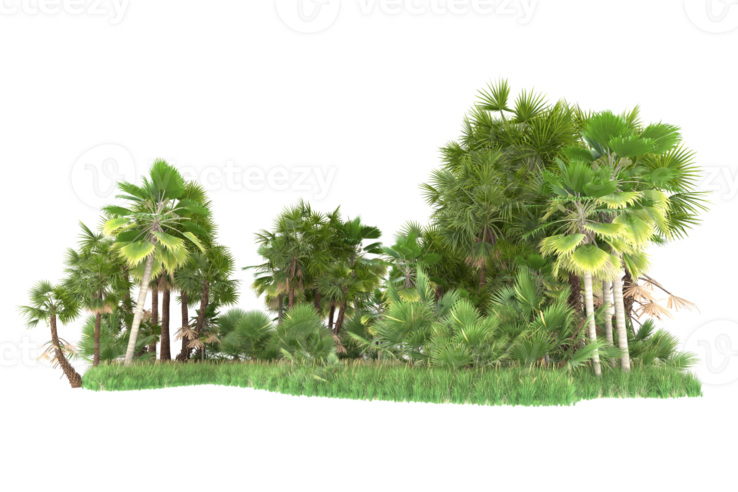 Realistic forest isolated on transparent background. 3d rendering - illustration png