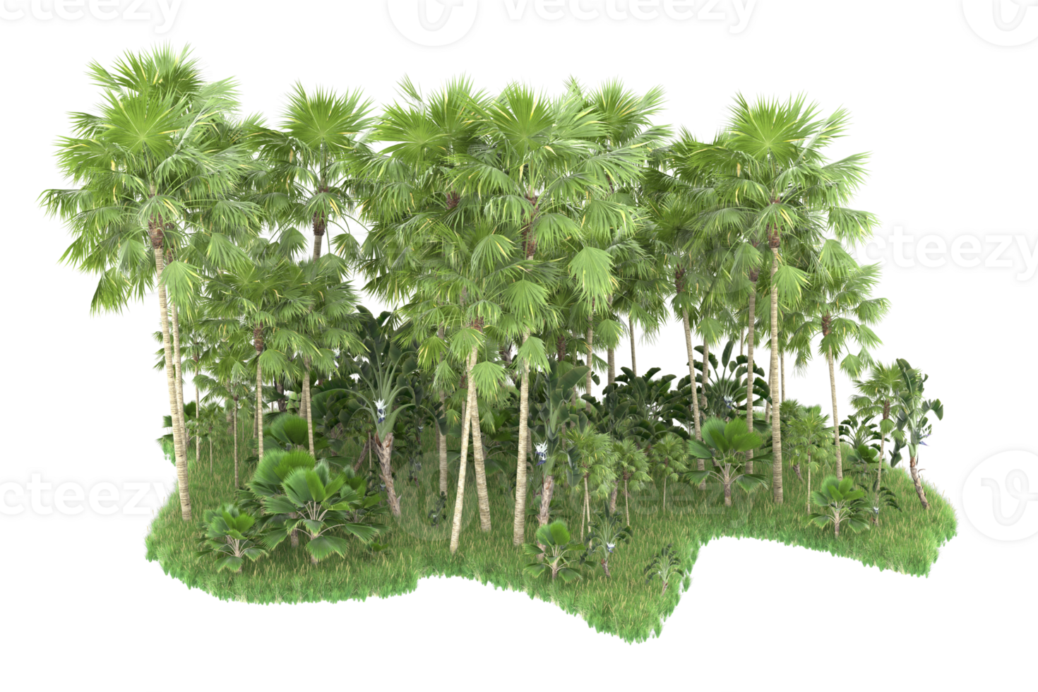 Realistic forest isolated on transparent background. 3d rendering - illustration png