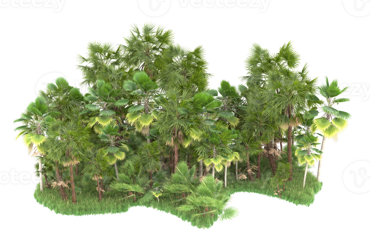 Realistic forest isolated on transparent background. 3d rendering - illustration png