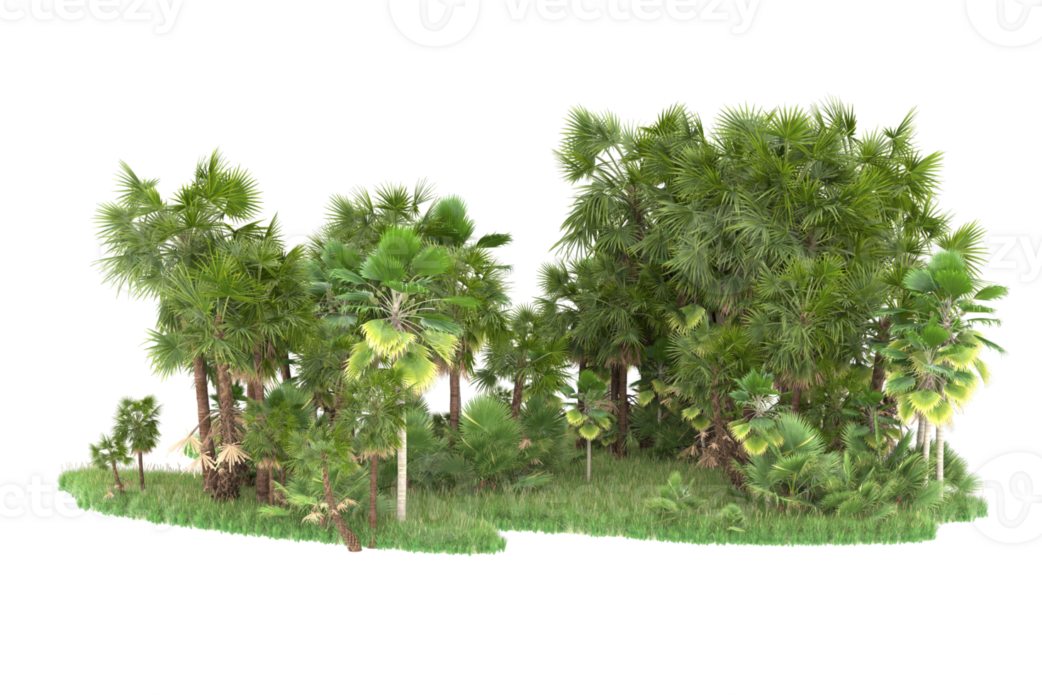 Realistic forest isolated on transparent background. 3d rendering - illustration png