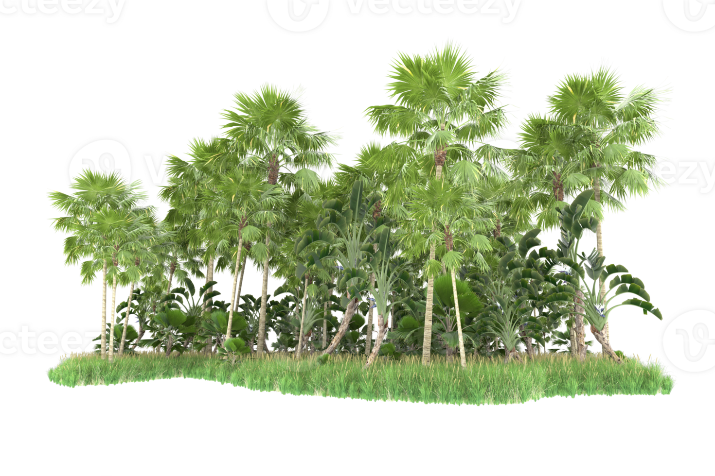 Realistic forest isolated on transparent background. 3d rendering - illustration png