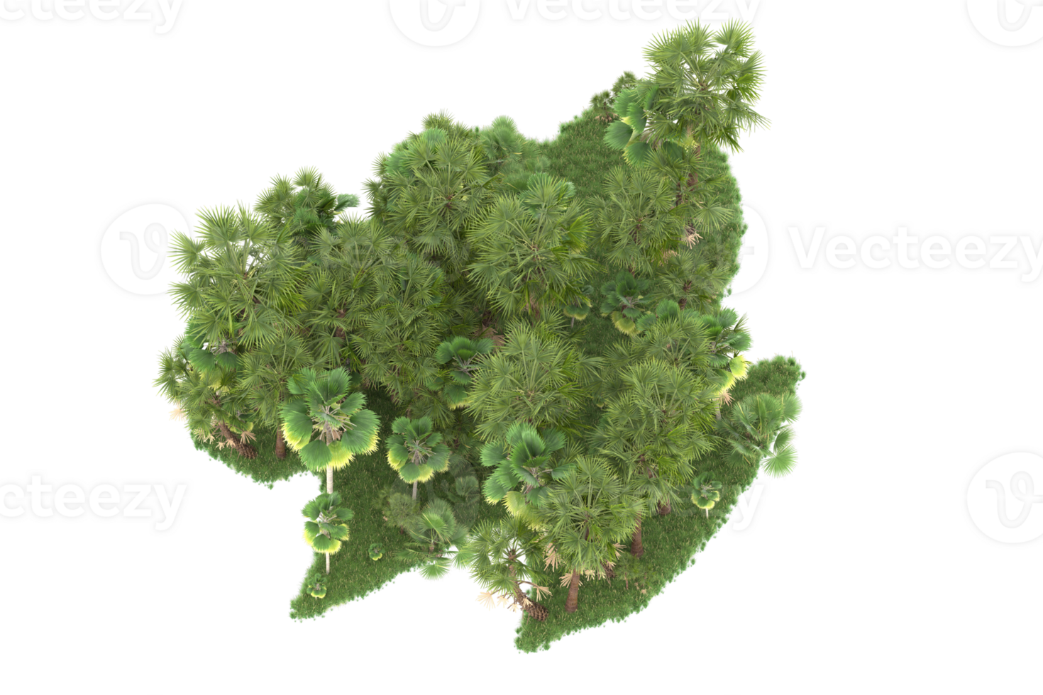 Realistic forest isolated on transparent background. 3d rendering - illustration png