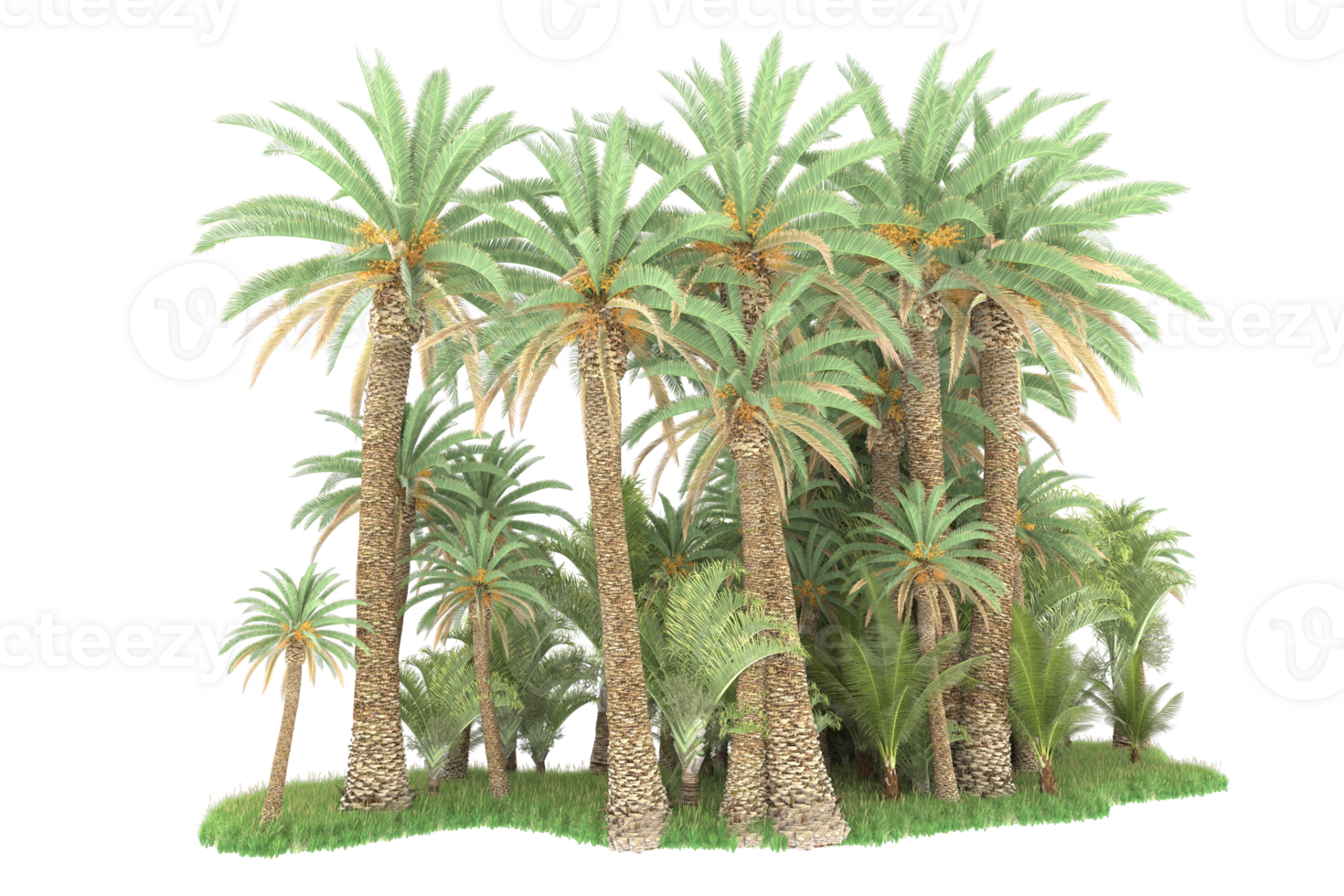 Realistic forest isolated on transparent background. 3d rendering - illustration png
