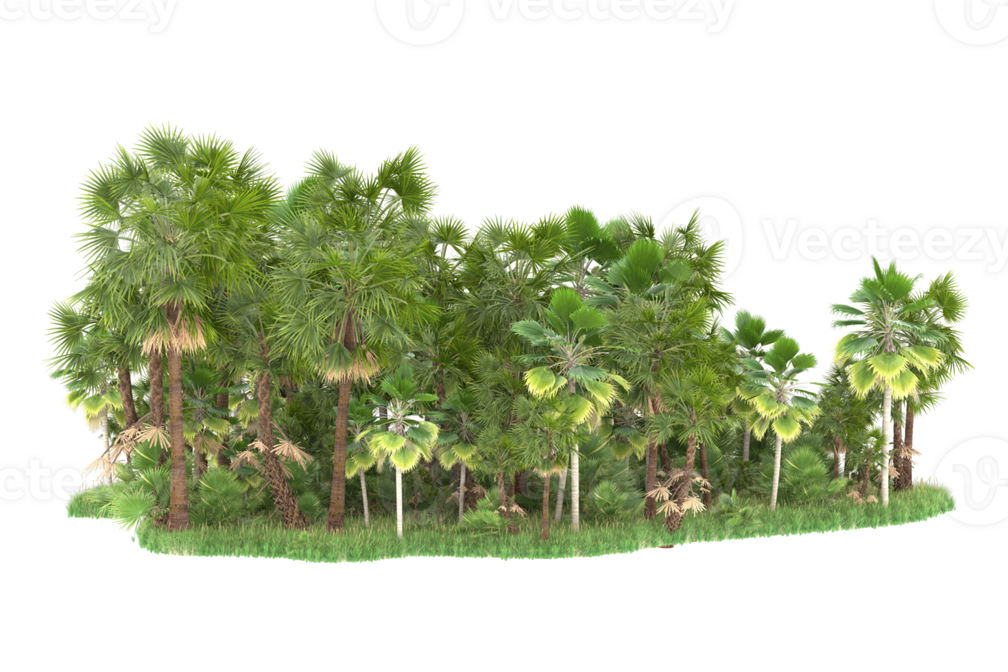 Realistic forest isolated on transparent background. 3d rendering - illustration png
