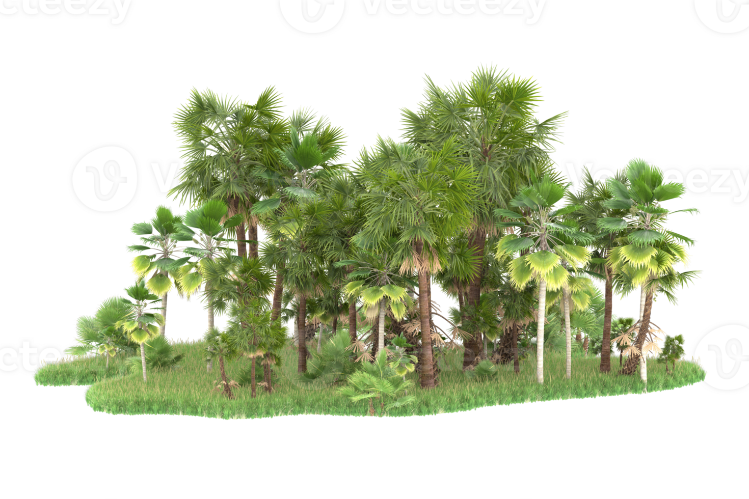 Realistic forest isolated on transparent background. 3d rendering - illustration png