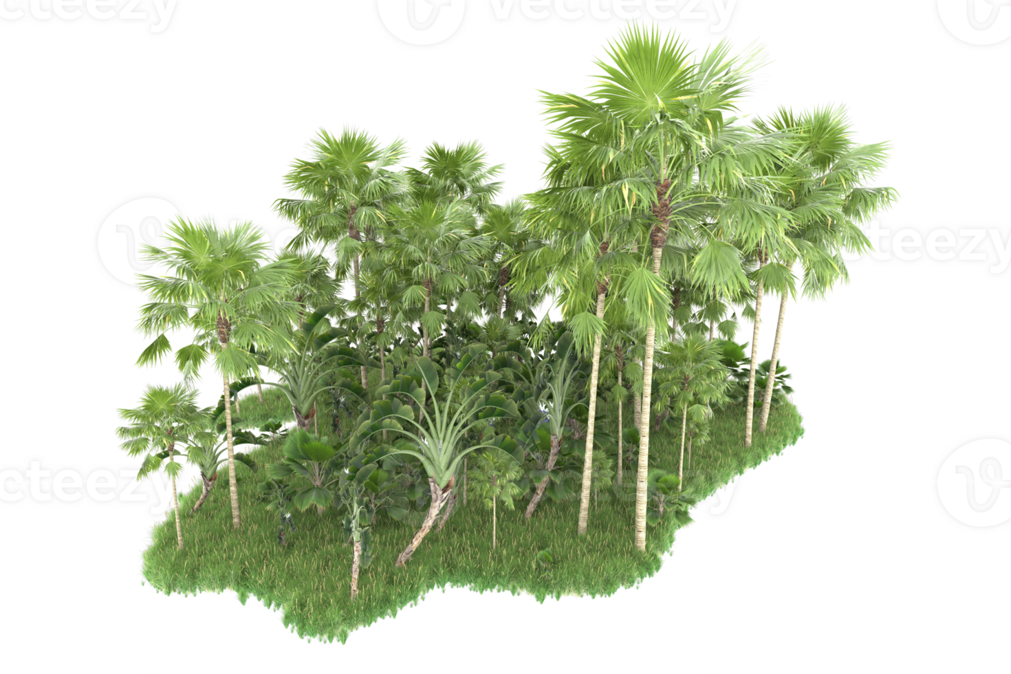 Realistic forest isolated on transparent background. 3d rendering - illustration png