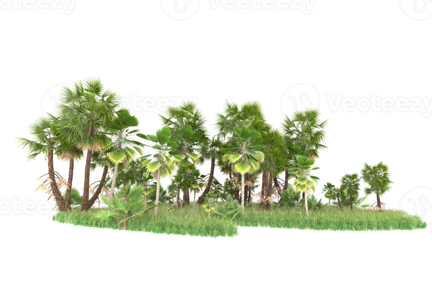 Realistic forest isolated on transparent background. 3d rendering - illustration png