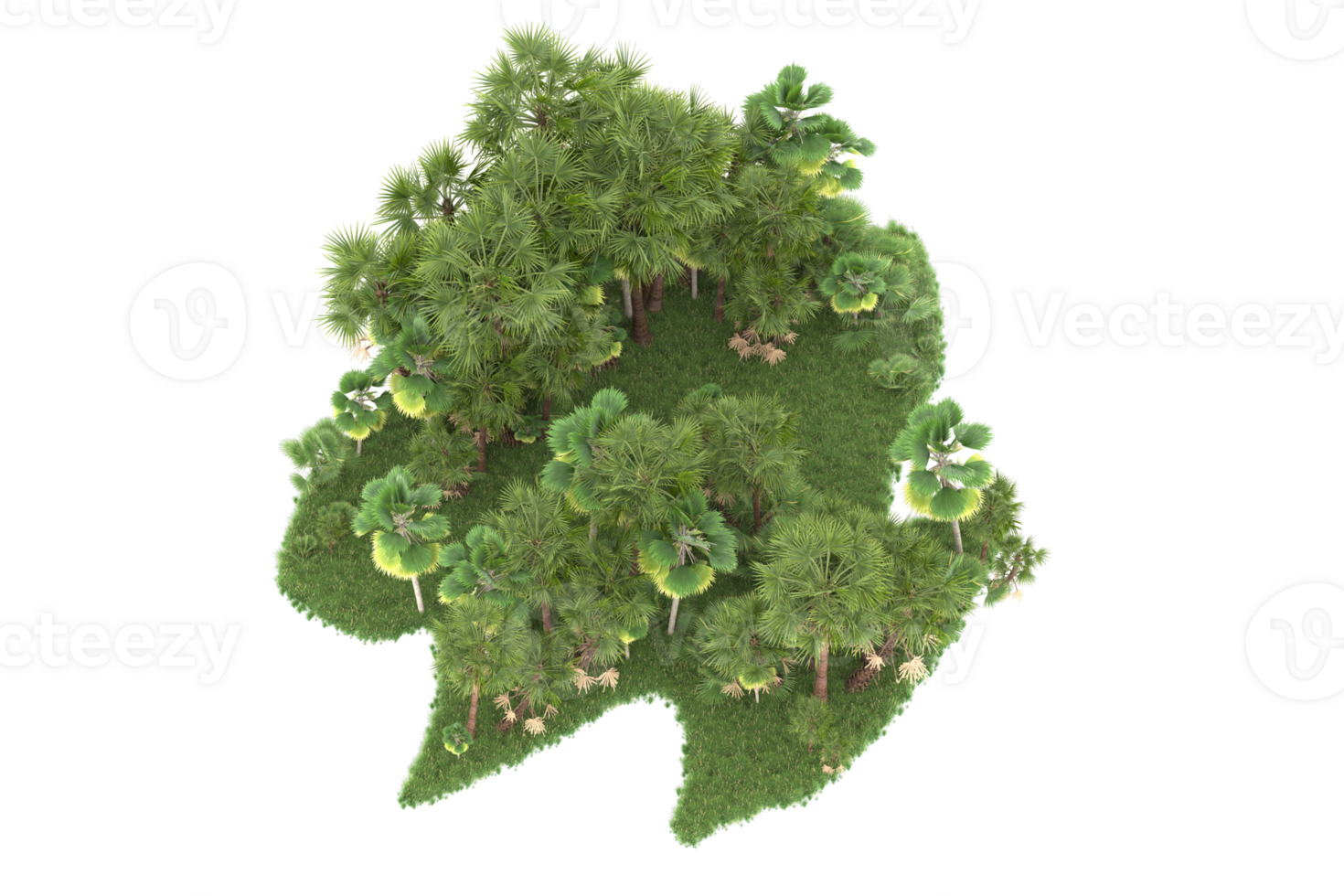 Realistic forest isolated on transparent background. 3d rendering - illustration png