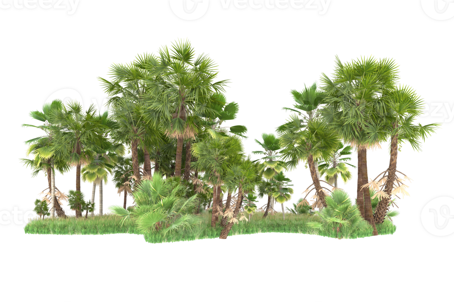 Realistic forest isolated on transparent background. 3d rendering - illustration png