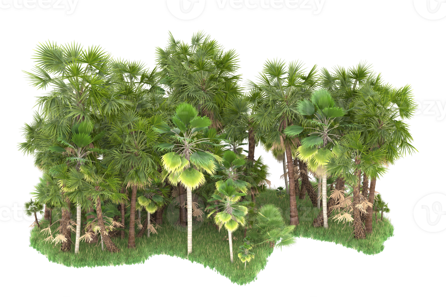 Realistic forest isolated on transparent background. 3d rendering - illustration png