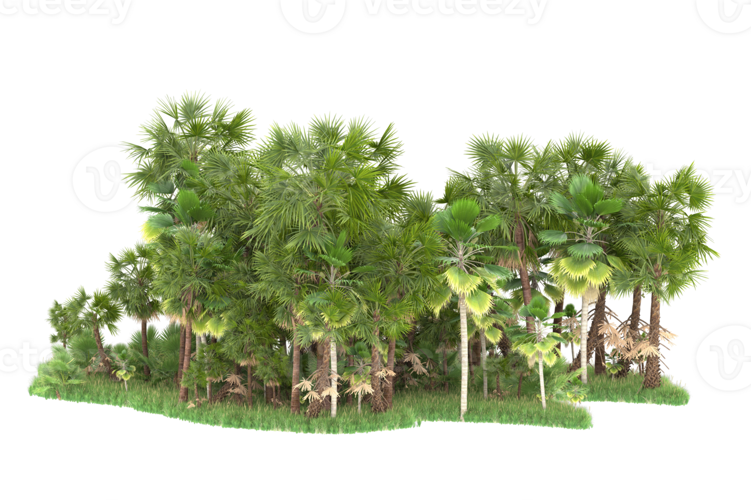 Realistic forest isolated on transparent background. 3d rendering - illustration png