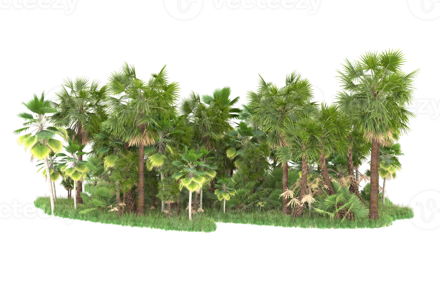 Realistic forest isolated on transparent background. 3d rendering - illustration png
